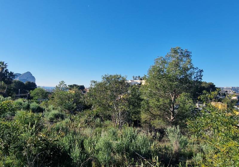 Grondstuk - Wederverkoop onroerend goed - Calpe - Calpe