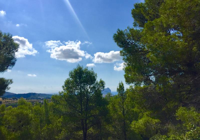 Parcela - Segunda mano - Benissa - Benissa