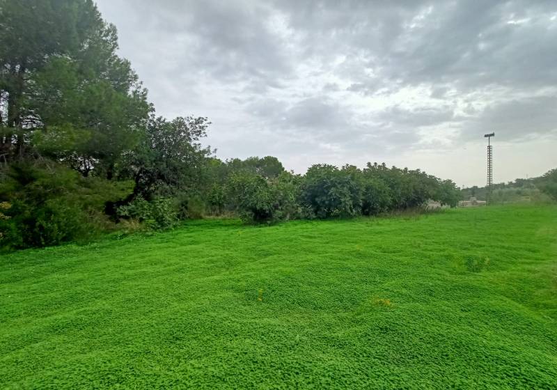 Parcela - Segunda mano - Benissa - Benissa