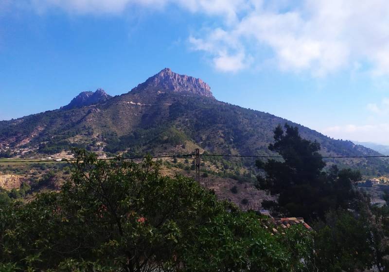 Parcela - Segunda mano - Calpe - Calpe