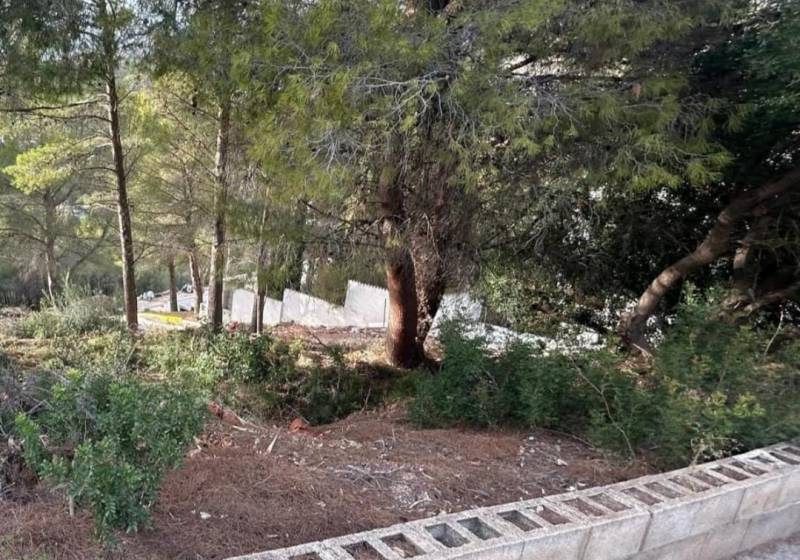 Plot - Resale Property - Altea - Altea