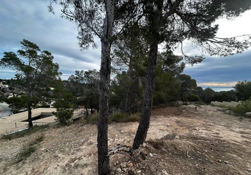 Plot - Resale Property - Benissa - Benissa