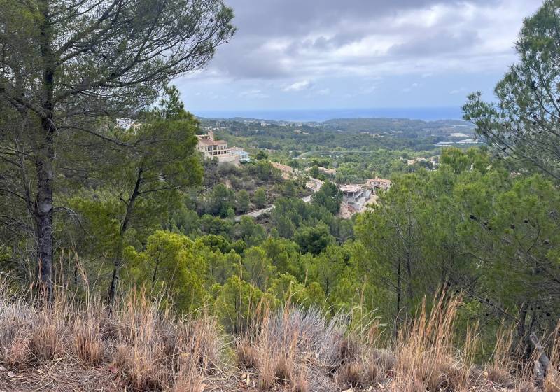 Plot - Sale - Callosa d'En Sarrià - Callosa d'En Sarrià