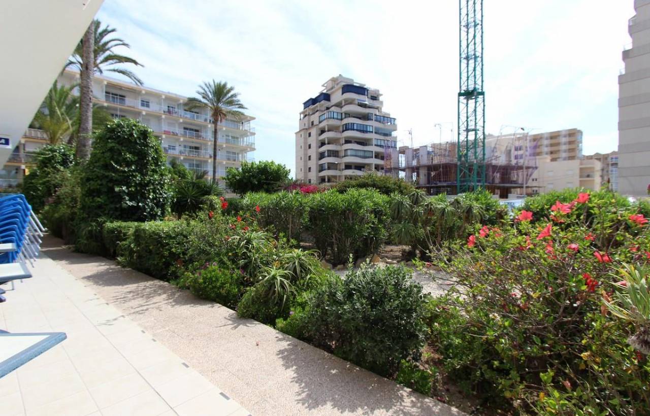 Resale Property - Commercial Property - Calpe